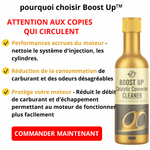 Load image into Gallery viewer, 🇨🇫 L'économiseur de Carburant Boost Up - Nettoyant pour catalyseur 🇨🇫
